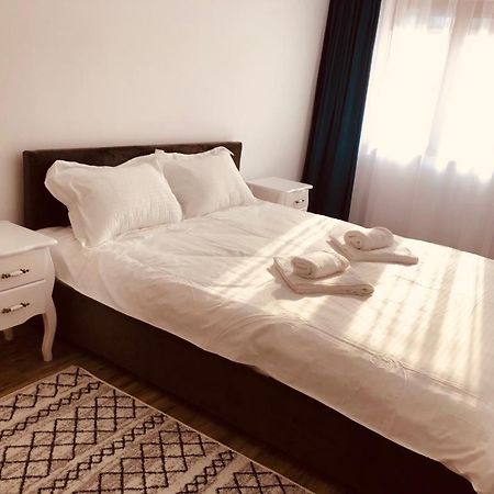 Narcisa Apartment Piatra Neamt Exterior photo