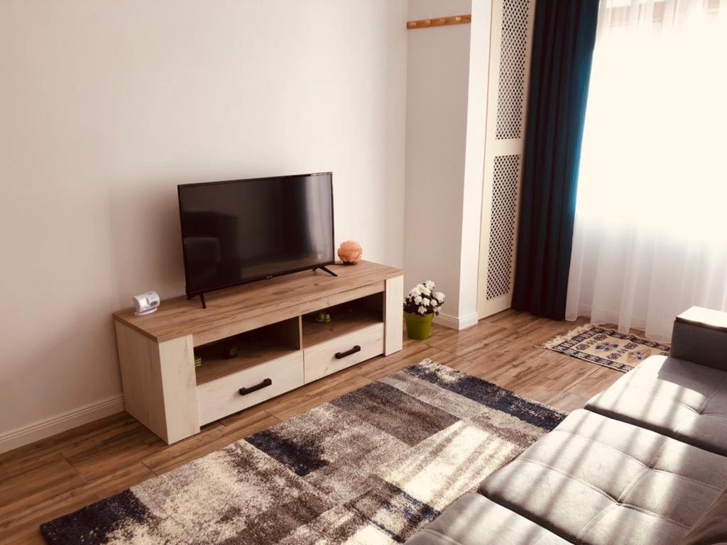 Narcisa Apartment Piatra Neamt Exterior photo