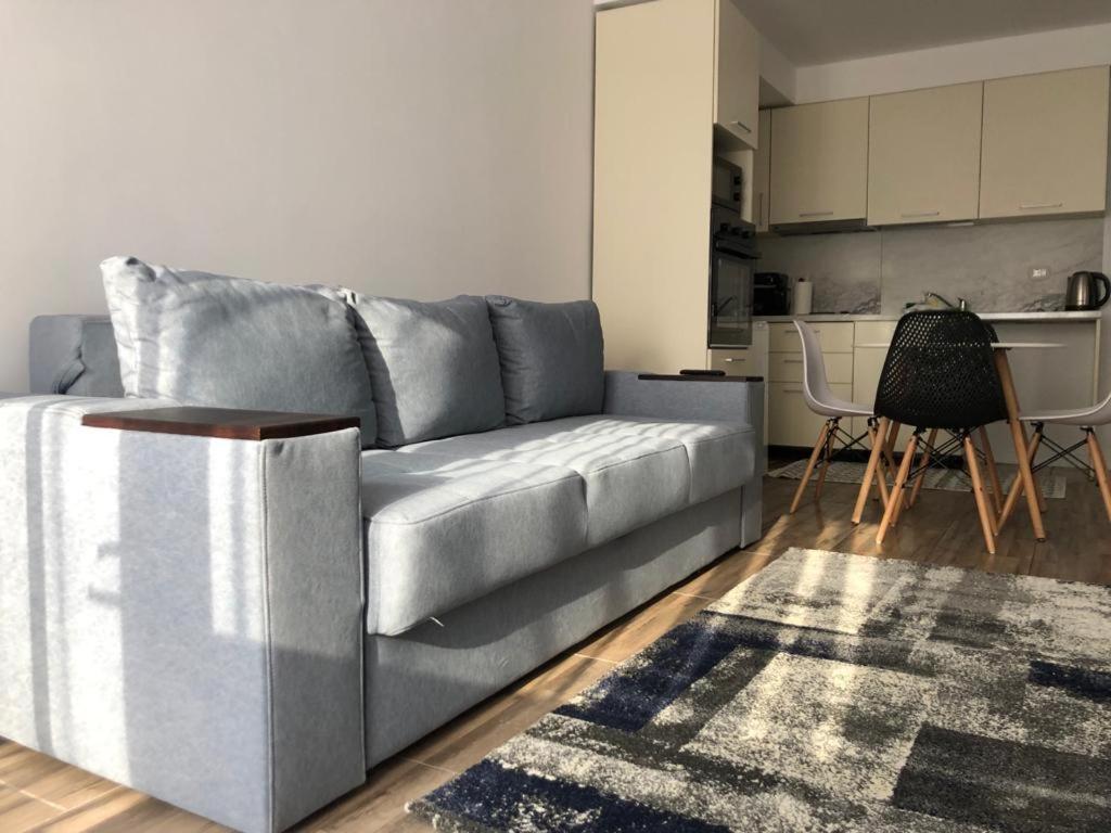 Narcisa Apartment Piatra Neamt Exterior photo